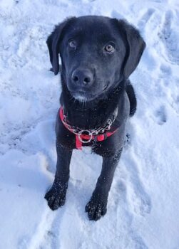 Miniaturansicht für das Anzeigenbild