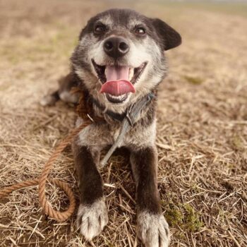 Miniaturansicht für das Anzeigenbild