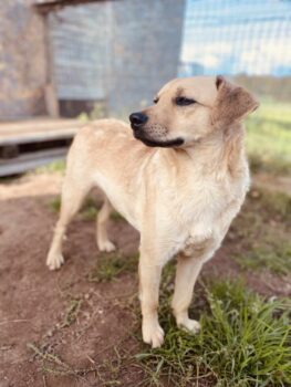 Miniaturansicht für das Anzeigenbild