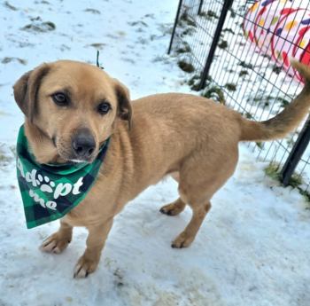 Miniaturansicht für das Anzeigenbild