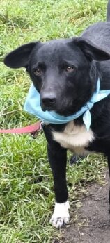 Miniaturansicht für das Anzeigenbild