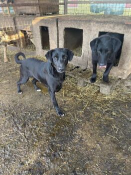 Miniaturansicht für das Anzeigenbild