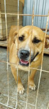 Miniaturansicht für das Anzeigenbild