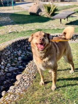 Miniaturansicht für das Anzeigenbild