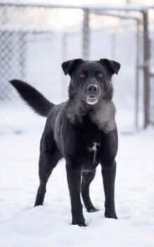 Miniaturansicht für das Anzeigenbild