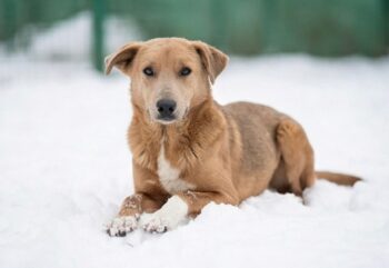 Miniaturansicht für das Anzeigenbild