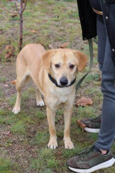 Miniaturansicht für das Anzeigenbild