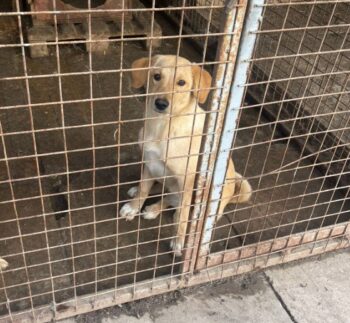 Miniaturansicht für das Anzeigenbild