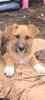 Miniaturansicht für das Anzeigenbild