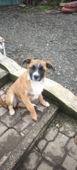 Miniaturansicht für das Anzeigenbild