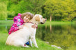Little girl with labrador retriever on walk in park. Child sitting on green grass with dog - outdoor in nature portrait. Pet, domestic animal and people concept.
