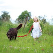kleines Mädchen führt Hund spazieren